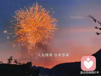 任何关系里，看不到真心与态度，就收回你的好，这是清醒，也是知趣配图