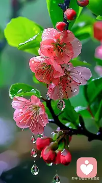 小时候词不达意，长大后言不由衷。