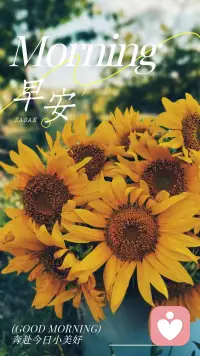 岁月日日流转，日子天天繁忙， 看淡纷纷扰扰知足，快乐才是真谛， 开启美好的一天，早安！