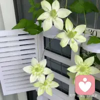将心比心 才能双赢

人心都是相互的，懂得换位思考、将心比心，才能双赢。

其实，生活中的很多难题和争执，往往是因为每个人都只站在自己的角度，只关心自己的问题。而解决问题的关键往往在于，你如何解决别人的问题。人若总想着改变别人，不懂得反思自己，只会加剧现存的问题，恶化彼此的矛盾。懂得换位思考，多为他人考虑，才能促成双赢。

很多时候，一些看似无解的困局，换个角度、转个方向，也许就有另一番天地。将心比心、换位思考，既是理解他人，更是提升自己。配图