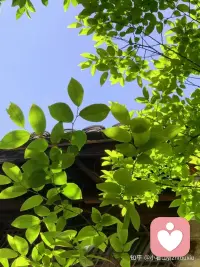 戒掉对别人的期待，才是自愈的开始。人生九成的失望，都来自过度期待。期待父母理解你的委屈，期待爱人偏爱你的全部，期待朋友永远真心待你，可现实是：每个人都有自己的局限和私心，没人能永远懂你、永远迁就你。别再等着别人来救赎你，别把情绪的开关交到别人手里。你不期待，就不会有失望；不依赖，就不会被拿捏。自己安抚自己的情绪，自己撑起自己的人生，才是成年人最高级的自愈能力。配图