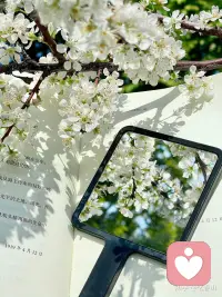 我来这个世界，不是为了繁衍后代。而是来看花怎么开，水怎么流。太阳怎么升起，夕阳何时落下。我活在世上，无非想要明白些道理，遇见些有趣的事。生命是一场偶然，我在其中寻找因果。配图