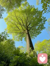 也许一个人最好的样子就是静一点，哪怕一个人生活，穿越一个又一个城市，走过一条又一条街道，仰望一片又一片天空，见证一场又一场离别，于是终于可以坦然的说，我终于不那么执着。