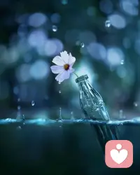 人生很多问题不是用来解决的，而是用来接受的，你不再挣扎的那一刻，它就不再是问题了。