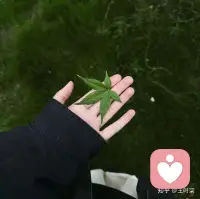 我们要学会接受，接受分道扬镳，接受世事无常，接受孤独挫败，接受突如其来的无力感…最后你会发现，你接受什么，什么就会消失；你对抗什么，什么就存在。