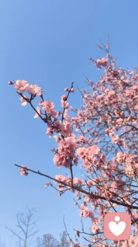 以倾听暖心，以温柔治愈，以陪伴渡人。