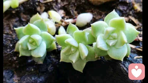 如何判断“异地恋”有没有未来