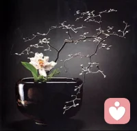 一定要记住:永远用行为去确定关系，而不是用关系去包容行为。
我对你的态度是看你的行为决定的，而不是因为我们的关系好，我就去包容你所有的行为。
所有长久的关系，到最后拼的一定是人品。
开始让人舒服的是语言，
后来让人舒服的一定是人品。配图