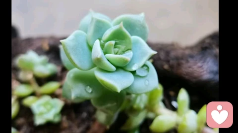 什么是情侣间真正的磨合？