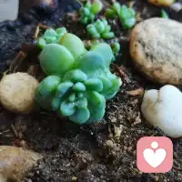 你开车的时候，不能盯着后视镜。
后视镜就这么大，而挡风玻璃那么大。
你总是盯着自己做不到的事:“我克服不了这个，克服不了那个”，而你却对已经的事情视而不见。别再念叨你哪里不行，说说自己哪里行；
别再念叨你没有什么，盘点一下自己拥有什么。