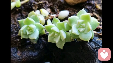 缓解焦虑方法之——具体化