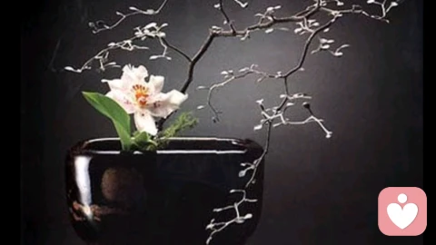 一个人内心强大的标志——凡事不预设
