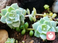 建立内在标准，
比迎合外界标尺更重要！
外界的标尺是墙，
内在的标准是地基，
墙会倒，地基是自己的。