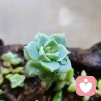 真正困住人的，
常常不是事情太多，而是心里装的太满。
物可以少一点，念头可以少一点，人才能轻松一点。
放下无止境的追逐，反而更容易守住内心的安稳。
人生后半程拼的不是加了多少，而是减去了多少消耗。
减去的不只是负担，也是妄念；
留下的不只是简单，更是清明。
会做减法的人，往往更有余地，也更接近从容。