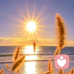 丙丁❤倾听/疏导的头像