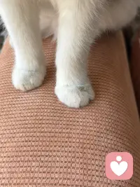 女性一定要趁早的意识到被爱，这件事并没那么重要，没有人和你在一起是为了让你幸福，都是为了让自己幸福，但庆幸的是人生的幸福和被爱没有直接关系，一个人很爱你，但他不一定能够让你幸福，让你幸福的构成是你自己健康的身体，良好的财务状况和富足的精神世界。宗萨仁波切说：自由的人他早就已经接受了，没有人疼爱的关系，人活着最大的痛苦也就来源于这一场关于爱的误会，总以为这个世界上必须有人爱你，亲人、伴侣、朋友、孩子甚至陌生人他们都被笼罩上了，必须应该要对我好的期待，但真相是没有人和你签订过这份合同，没有谁与生俱来就要履行这份爱。