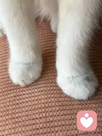 女性一定要趁早的意识到被爱，这件事并没那么重要，没有人和你在一起是为了让你幸福，都是为了让自己幸福，但庆幸的是人生的幸福和被爱没有直接关系，一个人很爱你，但他不一定能够让你幸福，让你幸福的构成是你自己健康的身体，良好的财务状况和富足的精神世界。宗萨仁波切说：自由的人他早就已经接受了，没有人疼爱的关系，人活着最大的痛苦也就来源于这一场关于爱的误会，总以为这个世界上必须有人爱你，亲人、伴侣、朋友、孩子甚至陌生人他们都被笼罩上了，必须应该要对我好的期待，但真相是没有人和你签订过这份合同，没有谁与生俱来就要履行这份爱。