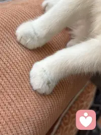 女性一定要趁早的意识到被爱，这件事并没那么重要，没有人和你在一起是为了让你幸福，都是为了让自己幸福，但庆幸的是人生的幸福和被爱没有直接关系，一个人很爱你，但他不一定能够让你幸福，让你幸福的构成是你自己健康的身体，良好的财务状况和富足的精神世界。宗萨仁波切说：自由的人他早就已经接受了，没有人疼爱的关系，人活着最大的痛苦也就来源于这一场关于爱的误会，总以为这个世界上必须有人爱你，亲人、伴侣、朋友、孩子甚至陌生人他们都被笼罩上了，必须应该要对我好的期待，但真相是没有人和你签订过这份合同，没有谁与生俱来就要履行这份爱。