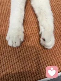 女性一定要趁早的意识到被爱，这件事并没那么重要，没有人和你在一起是为了让你幸福，都是为了让自己幸福，但庆幸的是人生的幸福和被爱没有直接关系，一个人很爱你，但他不一定能够让你幸福，让你幸福的构成是你自己健康的身体，良好的财务状况和富足的精神世界。宗萨仁波切说：自由的人他早就已经接受了，没有人疼爱的关系，人活着最大的痛苦也就来源于这一场关于爱的误会，总以为这个世界上必须有人爱你，亲人、伴侣、朋友、孩子甚至陌生人他们都被笼罩上了，必须应该要对我好的期待，但真相是没有人和你签订过这份合同，没有谁与生俱来就要履行这份爱。