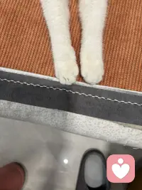 女性一定要趁早的意识到被爱，这件事并没那么重要，没有人和你在一起是为了让你幸福，都是为了让自己幸福，但庆幸的是人生的幸福和被爱没有直接关系，一个人很爱你，但他不一定能够让你幸福，让你幸福的构成是你自己健康的身体，良好的财务状况和富足的精神世界。宗萨仁波切说：自由的人他早就已经接受了，没有人疼爱的关系，人活着最大的痛苦也就来源于这一场关于爱的误会，总以为这个世界上必须有人爱你，亲人、伴侣、朋友、孩子甚至陌生人他们都被笼罩上了，必须应该要对我好的期待，但真相是没有人和你签订过这份合同，没有谁与生俱来就要履行这份爱。