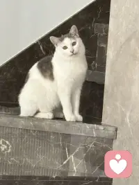 女性一定要趁早的意识到被爱，这件事并没那么重要，没有人和你在一起是为了让你幸福，都是为了让自己幸福，但庆幸的是人生的幸福和被爱没有直接关系，一个人很爱你，但他不一定能够让你幸福，让你幸福的构成是你自己健康的身体，良好的财务状况和富足的精神世界。宗萨仁波切说：自由的人他早就已经接受了，没有人疼爱的关系，人活着最大的痛苦也就来源于这一场关于爱的误会，总以为这个世界上必须有人爱你，亲人、伴侣、朋友、孩子甚至陌生人他们都被笼罩上了，必须应该要对我好的期待，但真相是没有人和你签订过这份合同，没有谁与生俱来就要履行这份爱。