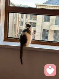 关系的本质是自由选择，父母生下你是本能，但爱你他是需要修行的，伴侣选择你是需求契合，但持续付出需要智慧，朋友接近你是因为机缘，但留下来需要价值共鸣，所有的关系都是流动的，今天亲密无间，可能明天就会形同陌路，但能留住的不是强求，是清醒。配图