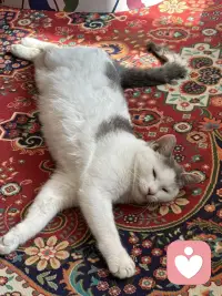 关系的本质是自由选择，父母生下你是本能，但爱你他是需要修行的，伴侣选择你是需求契合，但持续付出需要智慧，朋友接近你是因为机缘，但留下来需要价值共鸣，所有的关系都是流动的，今天亲密无间，可能明天就会形同陌路，但能留住的不是强求，是清醒。配图