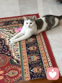 关系的本质是自由选择，父母生下你是本能，但爱你他是需要修行的，伴侣选择你是需求契合，但持续付出需要智慧，朋友接近你是因为机缘，但留下来需要价值共鸣，所有的关系都是流动的，今天亲密无间，可能明天就会形同陌路，但能留住的不是强求，是清醒。配图