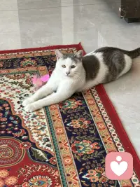 你有实力你才会焦虑，我们之所以焦虑是因为你有完成这件事情的能力，你不会因为自己造不出原子弹而焦虑的，你也不会因为没有成为首富而失眠，那些真正力所不能及的事情是不会伤害到我们的，所以你要知道没有实力，你连焦虑的资格都没有，如果一件事情它现在让你很焦虑，就说明你已经有了上桌的资格，你要做的就是带着焦虑上路去做。配图