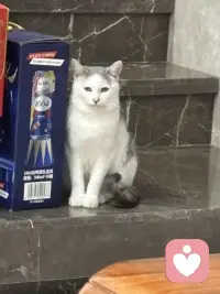 你有实力你才会焦虑，我们之所以焦虑是因为你有完成这件事情的能力，你不会因为自己造不出原子弹而焦虑的，你也不会因为没有成为首富而失眠，那些真正力所不能及的事情是不会伤害到我们的，所以你要知道没有实力，你连焦虑的资格都没有，如果一件事情它现在让你很焦虑，就说明你已经有了上桌的资格，你要做的就是带着焦虑上路去做。配图