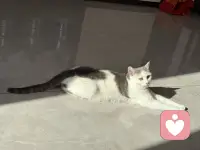 你有实力你才会焦虑，我们之所以焦虑是因为你有完成这件事情的能力，你不会因为自己造不出原子弹而焦虑的，你也不会因为没有成为首富而失眠，那些真正力所不能及的事情是不会伤害到我们的，所以你要知道没有实力，你连焦虑的资格都没有，如果一件事情它现在让你很焦虑，就说明你已经有了上桌的资格，你要做的就是带着焦虑上路去做。配图