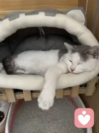 你有实力你才会焦虑，我们之所以焦虑是因为你有完成这件事情的能力，你不会因为自己造不出原子弹而焦虑的，你也不会因为没有成为首富而失眠，那些真正力所不能及的事情是不会伤害到我们的，所以你要知道没有实力，你连焦虑的资格都没有，如果一件事情它现在让你很焦虑，就说明你已经有了上桌的资格，你要做的就是带着焦虑上路去做。配图