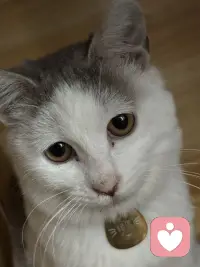 你有实力你才会焦虑，我们之所以焦虑是因为你有完成这件事情的能力，你不会因为自己造不出原子弹而焦虑的，你也不会因为没有成为首富而失眠，那些真正力所不能及的事情是不会伤害到我们的，所以你要知道没有实力，你连焦虑的资格都没有，如果一件事情它现在让你很焦虑，就说明你已经有了上桌的资格，你要做的就是带着焦虑上路去做。配图