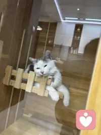 你有实力你才会焦虑，我们之所以焦虑是因为你有完成这件事情的能力，你不会因为自己造不出原子弹而焦虑的，你也不会因为没有成为首富而失眠，那些真正力所不能及的事情是不会伤害到我们的，所以你要知道没有实力，你连焦虑的资格都没有，如果一件事情它现在让你很焦虑，就说明你已经有了上桌的资格，你要做的就是带着焦虑上路去做。配图