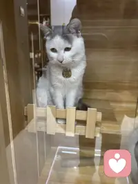 你有实力你才会焦虑，我们之所以焦虑是因为你有完成这件事情的能力，你不会因为自己造不出原子弹而焦虑的，你也不会因为没有成为首富而失眠，那些真正力所不能及的事情是不会伤害到我们的，所以你要知道没有实力，你连焦虑的资格都没有，如果一件事情它现在让你很焦虑，就说明你已经有了上桌的资格，你要做的就是带着焦虑上路去做。配图