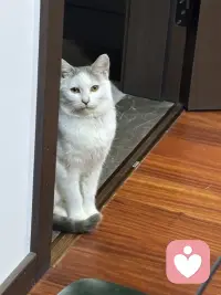 最顶级的慈悲就是去理解他人的局限性同时也理解自己的局限性，什么叫理解他人的局限性？就是你终于明白他不是不想对你好，是他给不出他没有的东西，他不是故意伤害你，是他困在自己的认知里根本看不见你的痛，他也不是不愿意改变，是他的过去把他压在那个位置动弹不得，什么叫理解自己的局限性？是你终于可以承认我也给不出我没有的东西，我也会失控也会匮乏，我也会在自己没有觉察的地方伤人而不自知。当你看清了这一点，一个神奇的事情就会发生，你会觉得格外轻松，你不会期待一个没有尝过甜的人给你满嘴的糖，你不会期待一个没有见过光的人把你拉出黑暗，你不会期待一个还在水里挣扎的人上岸来救你，因为你知道他只有这些，就像你你也只有这些，那一刻你会收回那些散落在别人身上的，应该把它放回到自己的手里来，你会发现所有的问题的解决方案原来只有一个就向内求外界是永远控制不了的，他人的认知，他人的节奏，他人的局限，那是别人的功课，你能管的只有你自己你的选择，你的行动，你还能给出去的和必须收回来的，这个时候你就放过了别人，同时也放过了自己。配图