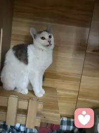 最顶级的慈悲就是去理解他人的局限性同时也理解自己的局限性，什么叫理解他人的局限性？就是你终于明白他不是不想对你好，是他给不出他没有的东西，他不是故意伤害你，是他困在自己的认知里根本看不见你的痛，他也不是不愿意改变，是他的过去把他压在那个位置动弹不得，什么叫理解自己的局限性？是你终于可以承认我也给不出我没有的东西，我也会失控也会匮乏，我也会在自己没有觉察的地方伤人而不自知。当你看清了这一点，一个神奇的事情就会发生，你会觉得格外轻松，你不会期待一个没有尝过甜的人给你满嘴的糖，你不会期待一个没有见过光的人把你拉出黑暗，你不会期待一个还在水里挣扎的人上岸来救你，因为你知道他只有这些，就像你你也只有这些，那一刻你会收回那些散落在别人身上的，应该把它放回到自己的手里来，你会发现所有的问题的解决方案原来只有一个就向内求外界是永远控制不了的，他人的认知，他人的节奏，他人的局限，那是别人的功课，你能管的只有你自己你的选择，你的行动，你还能给出去的和必须收回来的，这个时候你就放过了别人，同时也放过了自己。配图