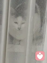 人民日报说世界上最好的礼物是从不放弃成长的自己，去努力、去蜕变、去发光、去热爱，爱平凡日子里的坚持，爱风雨过后的晴空，爱一路向前从不低头的自己，不必焦虑，不必慌张，时间会给你最好的答案，愿你眼里有光，心中有梦，脚下有路，活成自己喜欢的模样。配图