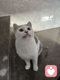 分享两个让我特别感动的瞬间：第一个就是有一个大爷开三轮车不小心撞到了一辆法拉利，他就选择在原地等待车主，然后默默的把所有的钱都拿出来赔偿。一共163块有零有整，当他得知这辆车很贵的时候，他还把自己买的包菜也给了车主，而车主趁着大爷离开又把钱扔回了车斗里，然后评论区就全部都是担心钱会飞走，担心大爷和车主什么都得不到，直到看到一个叫菠萝大王的屏幕，他说飞就飞了，大爷觉得自己赔过钱，心少爷觉得自己还回去也安心多了，一个小笨蛋开心的发条朋友圈，今天走路捡到100多块，好开心就真的评论真的是让灰暗的世界突然涂满彩色的感觉。第二个让我感动的视频是一个叫徐小虎的老太太，这个老太太特别有意思，纯真的像一个孩子，有一次她参加节目，化妆师给她化妆，她说。你不喜欢这些皱纹吗？就是要养了90年代的有山有沟，你不喜欢这些皱纹吗？要养90年才有。我为什么会被这两个视频感动？是因为真的他们让我觉得这个世界很美好。那个叫菠萝大王的评论者为什么能写出那样的视角？因为他热爱这个世界，他能看到大爷安心了，能看到少爷安心了，甚至能看到可能捡了钱的路人也能开心一整天，他不是在分析，他是在祝福，他相信这个世界有各种的赢家，他相信飞走的东西也可以变成别人的惊喜，我猜只有极度热爱这个世界的人，眼里才有这样的众生，而徐小虎老人家他让我看到一个人可以热爱自己，到这种程度我们都会怕老怕丑，怕被人看到岁月的痕迹，可他不一样，他把每一道皱纹都当成了活过的证据，他和时间作伴，一个热爱自己的人脸上才有这样的光，我就发现热爱世界，所以能看见万物各得其所欲的美好，热爱自己，所以能珍惜时间留下的每一道痕迹。菠萝大王让我觉得原来世界可以这么可爱，而徐小虎让我觉得原来自己可以这么珍贵，要做一个热爱世界的人，像他那样祝福众生，要做一个热爱自己的人，像他那样养好每一岁，因为我来人间一趟，不是为了讨厌这一切的。配图