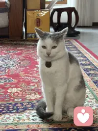 分享两个让我特别感动的瞬间：第一个就是有一个大爷开三轮车不小心撞到了一辆法拉利，他就选择在原地等待车主，然后默默的把所有的钱都拿出来赔偿。一共163块有零有整，当他得知这辆车很贵的时候，他还把自己买的包菜也给了车主，而车主趁着大爷离开又把钱扔回了车斗里，然后评论区就全部都是担心钱会飞走，担心大爷和车主什么都得不到，直到看到一个叫菠萝大王的屏幕，他说飞就飞了，大爷觉得自己赔过钱，心少爷觉得自己还回去也安心多了，一个小笨蛋开心的发条朋友圈，今天走路捡到100多块，好开心就真的评论真的是让灰暗的世界突然涂满彩色的感觉。第二个让我感动的视频是一个叫徐小虎的老太太，这个老太太特别有意思，纯真的像一个孩子，有一次她参加节目，化妆师给她化妆，她说。你不喜欢这些皱纹吗？就是要养了90年代的有山有沟，你不喜欢这些皱纹吗？要养90年才有。我为什么会被这两个视频感动？是因为真的他们让我觉得这个世界很美好。那个叫菠萝大王的评论者为什么能写出那样的视角？因为他热爱这个世界，他能看到大爷安心了，能看到少爷安心了，甚至能看到可能捡了钱的路人也能开心一整天，他不是在分析，他是在祝福，他相信这个世界有各种的赢家，他相信飞走的东西也可以变成别人的惊喜，我猜只有极度热爱这个世界的人，眼里才有这样的众生，而徐小虎老人家他让我看到一个人可以热爱自己，到这种程度我们都会怕老怕丑，怕被人看到岁月的痕迹，可他不一样，他把每一道皱纹都当成了活过的证据，他和时间作伴，一个热爱自己的人脸上才有这样的光，我就发现热爱世界，所以能看见万物各得其所欲的美好，热爱自己，所以能珍惜时间留下的每一道痕迹。菠萝大王让我觉得原来世界可以这么可爱，而徐小虎让我觉得原来自己可以这么珍贵，要做一个热爱世界的人，像他那样祝福众生，要做一个热爱自己的人，像他那样养好每一岁，因为我来人间一趟，不是为了讨厌这一切的。配图