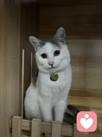 分享两个让我特别感动的瞬间：第一个就是有一个大爷开三轮车不小心撞到了一辆法拉利，他就选择在原地等待车主，然后默默的把所有的钱都拿出来赔偿。一共163块有零有整，当他得知这辆车很贵的时候，他还把自己买的包菜也给了车主，而车主趁着大爷离开又把钱扔回了车斗里，然后评论区就全部都是担心钱会飞走，担心大爷和车主什么都得不到，直到看到一个叫菠萝大王的屏幕，他说飞就飞了，大爷觉得自己赔过钱，心少爷觉得自己还回去也安心多了，一个小笨蛋开心的发条朋友圈，今天走路捡到100多块，好开心就真的评论真的是让灰暗的世界突然涂满彩色的感觉。第二个让我感动的视频是一个叫徐小虎的老太太，这个老太太特别有意思，纯真的像一个孩子，有一次她参加节目，化妆师给她化妆，她说。你不喜欢这些皱纹吗？就是要养了90年代的有山有沟，你不喜欢这些皱纹吗？要养90年才有。我为什么会被这两个视频感动？是因为真的他们让我觉得这个世界很美好。那个叫菠萝大王的评论者为什么能写出那样的视角？因为他热爱这个世界，他能看到大爷安心了，能看到少爷安心了，甚至能看到可能捡了钱的路人也能开心一整天，他不是在分析，他是在祝福，他相信这个世界有各种的赢家，他相信飞走的东西也可以变成别人的惊喜，我猜只有极度热爱这个世界的人，眼里才有这样的众生，而徐小虎老人家他让我看到一个人可以热爱自己，到这种程度我们都会怕老怕丑，怕被人看到岁月的痕迹，可他不一样，他把每一道皱纹都当成了活过的证据，他和时间作伴，一个热爱自己的人脸上才有这样的光，我就发现热爱世界，所以能看见万物各得其所欲的美好，热爱自己，所以能珍惜时间留下的每一道痕迹。菠萝大王让我觉得原来世界可以这么可爱，而徐小虎让我觉得原来自己可以这么珍贵，要做一个热爱世界的人，像他那样祝福众生，要做一个热爱自己的人，像他那样养好每一岁，因为我来人间一趟，不是为了讨厌这一切的。配图