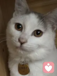 分享两个让我特别感动的瞬间：第一个就是有一个大爷开三轮车不小心撞到了一辆法拉利，他就选择在原地等待车主，然后默默的把所有的钱都拿出来赔偿。一共163块有零有整，当他得知这辆车很贵的时候，他还把自己买的包菜也给了车主，而车主趁着大爷离开又把钱扔回了车斗里，然后评论区就全部都是担心钱会飞走，担心大爷和车主什么都得不到，直到看到一个叫菠萝大王的屏幕，他说飞就飞了，大爷觉得自己赔过钱，心少爷觉得自己还回去也安心多了，一个小笨蛋开心的发条朋友圈，今天走路捡到100多块，好开心就真的评论真的是让灰暗的世界突然涂满彩色的感觉。第二个让我感动的视频是一个叫徐小虎的老太太，这个老太太特别有意思，纯真的像一个孩子，有一次她参加节目，化妆师给她化妆，她说。你不喜欢这些皱纹吗？就是要养了90年代的有山有沟，你不喜欢这些皱纹吗？要养90年才有。我为什么会被这两个视频感动？是因为真的他们让我觉得这个世界很美好。那个叫菠萝大王的评论者为什么能写出那样的视角？因为他热爱这个世界，他能看到大爷安心了，能看到少爷安心了，甚至能看到可能捡了钱的路人也能开心一整天，他不是在分析，他是在祝福，他相信这个世界有各种的赢家，他相信飞走的东西也可以变成别人的惊喜，我猜只有极度热爱这个世界的人，眼里才有这样的众生，而徐小虎老人家他让我看到一个人可以热爱自己，到这种程度我们都会怕老怕丑，怕被人看到岁月的痕迹，可他不一样，他把每一道皱纹都当成了活过的证据，他和时间作伴，一个热爱自己的人脸上才有这样的光，我就发现热爱世界，所以能看见万物各得其所欲的美好，热爱自己，所以能珍惜时间留下的每一道痕迹。菠萝大王让我觉得原来世界可以这么可爱，而徐小虎让我觉得原来自己可以这么珍贵，要做一个热爱世界的人，像他那样祝福众生，要做一个热爱自己的人，像他那样养好每一岁，因为我来人间一趟，不是为了讨厌这一切的。配图