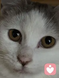 分享两个让我特别感动的瞬间：第一个就是有一个大爷开三轮车不小心撞到了一辆法拉利，他就选择在原地等待车主，然后默默的把所有的钱都拿出来赔偿。一共163块有零有整，当他得知这辆车很贵的时候，他还把自己买的包菜也给了车主，而车主趁着大爷离开又把钱扔回了车斗里，然后评论区就全部都是担心钱会飞走，担心大爷和车主什么都得不到，直到看到一个叫菠萝大王的屏幕，他说飞就飞了，大爷觉得自己赔过钱，心少爷觉得自己还回去也安心多了，一个小笨蛋开心的发条朋友圈，今天走路捡到100多块，好开心就真的评论真的是让灰暗的世界突然涂满彩色的感觉。第二个让我感动的视频是一个叫徐小虎的老太太，这个老太太特别有意思，纯真的像一个孩子，有一次她参加节目，化妆师给她化妆，她说。你不喜欢这些皱纹吗？就是要养了90年代的有山有沟，你不喜欢这些皱纹吗？要养90年才有。我为什么会被这两个视频感动？是因为真的他们让我觉得这个世界很美好。那个叫菠萝大王的评论者为什么能写出那样的视角？因为他热爱这个世界，他能看到大爷安心了，能看到少爷安心了，甚至能看到可能捡了钱的路人也能开心一整天，他不是在分析，他是在祝福，他相信这个世界有各种的赢家，他相信飞走的东西也可以变成别人的惊喜，我猜只有极度热爱这个世界的人，眼里才有这样的众生，而徐小虎老人家他让我看到一个人可以热爱自己，到这种程度我们都会怕老怕丑，怕被人看到岁月的痕迹，可他不一样，他把每一道皱纹都当成了活过的证据，他和时间作伴，一个热爱自己的人脸上才有这样的光，我就发现热爱世界，所以能看见万物各得其所欲的美好，热爱自己，所以能珍惜时间留下的每一道痕迹。菠萝大王让我觉得原来世界可以这么可爱，而徐小虎让我觉得原来自己可以这么珍贵，要做一个热爱世界的人，像他那样祝福众生，要做一个热爱自己的人，像他那样养好每一岁，因为我来人间一趟，不是为了讨厌这一切的。配图