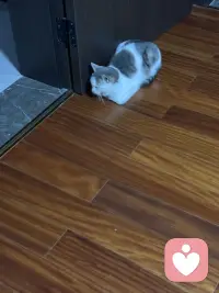 有多不顺，将来就会有多好。老天让你成长的时候，总会安排一些让你不顺心的人或者事来刺激你，别害怕！熬过去，就是你开始走好运的时候，这就是民间常说的否极泰来。因为天道的规律就是物极必反，如果你正在遭受磨难，请不要担心磨难过后就是福报。配图