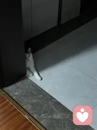 就是要戒掉委屈感。你有没有发现那些真正厉害的人，他们是很少抱怨自己受了多大委屈的，而那些总是停留在原地的人，张口闭口就是我付出了那么多，凭什么得不到认可？我明明那么努力，为什么还是这个结果？我对他那么好，他却这么对我委屈是一个很正当的情绪，但他也是你变强路上最大的毒药，什么叫委屈感？就是你觉得自己的付出和回报不成正比，然后陷入一种我是受害者的心态里，这种心态最可怕的地方在于它会让你把所有的注意力都放在我都踩上，而不是我该怎么办上，它会让你反复回放那些让你不爽的画面，反复计算你付出了多少，别人又欠了你多少，寻找各种证据来证明你是对的，错的是世界，错的是他人，这个过程消耗了你大量的精力，但解决了什么问题吗？一个都没有，更要命的是委屈感会让你产生一种扭曲的心理补偿机制，你会觉得我都这么委屈了，我就该被安慰被补偿被特殊的对待。于是你开始等待别人来哄你，等待环境改变，等待老天爷给你一个公平结果，你等来的只有更深的无力感和更大的愤怒，但是戒掉委屈感很难，因为它太有诱惑力了，委屈感能给人一种优越的道德感，让你觉得自己是个好人，错的是别人，它能让你暂时的逃避责任，因为都是环境的错，不是我的问题，他甚至可以给你一种存在感，让你在诉说委屈的过程中获得他人的关注和同情，但这些都是假象，真相是当你选择委屈的时候，你就已经选择了软弱，你把改变的权利给了别人，把生命的主动权拱手让人，这段委屈感不是让你变得冷漠冷血，而是让你把情绪的消耗转化成行动的力量，你依然可以有情绪，你依然可以觉得不公平，但你不能让自己停留在那里，你要快速的从我好惨跳到我该怎么办上，不要不要再问为什么是我开始去问我能做什么，不要再等别人给你公道，开始去创造自己的结果，记住这个世界从来不会因为你委屈而对你手下留情，但他会因为你强大对你刮目相看，变强的第一步就是戒掉委屈。配图