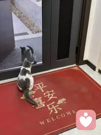 就是要戒掉委屈感。你有没有发现那些真正厉害的人，他们是很少抱怨自己受了多大委屈的，而那些总是停留在原地的人，张口闭口就是我付出了那么多，凭什么得不到认可？我明明那么努力，为什么还是这个结果？我对他那么好，他却这么对我委屈是一个很正当的情绪，但他也是你变强路上最大的毒药，什么叫委屈感？就是你觉得自己的付出和回报不成正比，然后陷入一种我是受害者的心态里，这种心态最可怕的地方在于它会让你把所有的注意力都放在我都踩上，而不是我该怎么办上，它会让你反复回放那些让你不爽的画面，反复计算你付出了多少，别人又欠了你多少，寻找各种证据来证明你是对的，错的是世界，错的是他人，这个过程消耗了你大量的精力，但解决了什么问题吗？一个都没有，更要命的是委屈感会让你产生一种扭曲的心理补偿机制，你会觉得我都这么委屈了，我就该被安慰被补偿被特殊的对待。于是你开始等待别人来哄你，等待环境改变，等待老天爷给你一个公平结果，你等来的只有更深的无力感和更大的愤怒，但是戒掉委屈感很难，因为它太有诱惑力了，委屈感能给人一种优越的道德感，让你觉得自己是个好人，错的是别人，它能让你暂时的逃避责任，因为都是环境的错，不是我的问题，他甚至可以给你一种存在感，让你在诉说委屈的过程中获得他人的关注和同情，但这些都是假象，真相是当你选择委屈的时候，你就已经选择了软弱，你把改变的权利给了别人，把生命的主动权拱手让人，这段委屈感不是让你变得冷漠冷血，而是让你把情绪的消耗转化成行动的力量，你依然可以有情绪，你依然可以觉得不公平，但你不能让自己停留在那里，你要快速的从我好惨跳到我该怎么办上，不要不要再问为什么是我开始去问我能做什么，不要再等别人给你公道，开始去创造自己的结果，记住这个世界从来不会因为你委屈而对你手下留情，但他会因为你强大对你刮目相看，变强的第一步就是戒掉委屈。配图