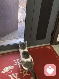 就是要戒掉委屈感。你有没有发现那些真正厉害的人，他们是很少抱怨自己受了多大委屈的，而那些总是停留在原地的人，张口闭口就是我付出了那么多，凭什么得不到认可？我明明那么努力，为什么还是这个结果？我对他那么好，他却这么对我委屈是一个很正当的情绪，但他也是你变强路上最大的毒药，什么叫委屈感？就是你觉得自己的付出和回报不成正比，然后陷入一种我是受害者的心态里，这种心态最可怕的地方在于它会让你把所有的注意力都放在我都踩上，而不是我该怎么办上，它会让你反复回放那些让你不爽的画面，反复计算你付出了多少，别人又欠了你多少，寻找各种证据来证明你是对的，错的是世界，错的是他人，这个过程消耗了你大量的精力，但解决了什么问题吗？一个都没有，更要命的是委屈感会让你产生一种扭曲的心理补偿机制，你会觉得我都这么委屈了，我就该被安慰被补偿被特殊的对待。于是你开始等待别人来哄你，等待环境改变，等待老天爷给你一个公平结果，你等来的只有更深的无力感和更大的愤怒，但是戒掉委屈感很难，因为它太有诱惑力了，委屈感能给人一种优越的道德感，让你觉得自己是个好人，错的是别人，它能让你暂时的逃避责任，因为都是环境的错，不是我的问题，他甚至可以给你一种存在感，让你在诉说委屈的过程中获得他人的关注和同情，但这些都是假象，真相是当你选择委屈的时候，你就已经选择了软弱，你把改变的权利给了别人，把生命的主动权拱手让人，这段委屈感不是让你变得冷漠冷血，而是让你把情绪的消耗转化成行动的力量，你依然可以有情绪，你依然可以觉得不公平，但你不能让自己停留在那里，你要快速的从我好惨跳到我该怎么办上，不要不要再问为什么是我开始去问我能做什么，不要再等别人给你公道，开始去创造自己的结果，记住这个世界从来不会因为你委屈而对你手下留情，但他会因为你强大对你刮目相看，变强的第一步就是戒掉委屈。配图