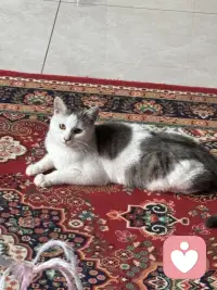 人一定要停止对自己的灾难化的想象，说白了就是不要去回应任何你大脑中的担忧的念头，我们总是为不确定性提前担忧一点，小事总往最坏的方向去想，没发生的事就先把自己吓死，还没开始就预设各种失败，越想越焦虑，最后干脆不敢做，别人随口一句话你就能琢磨好几天，脑补出一整套针对自己的戏码，明明当下什么都没有发生，却总是担心未来会出问题，越想越慌根本停不下来，但是这些担忧90%都不会发生，剩下的10%发生的方式跟你想的也完全不同，所以真的不要提前去担忧。解决灾难化思维，解决那些担忧，只有一个念头来了让他来，他说万一失败怎么办？你听见了，但是不要跟他对话，他说别人是不是对你有意见，你知道他来了，但是不要给他画面，他说未来会不会很糟，你允许他存在，但你不跟着他走念头只是念头，不是事实，大脑只是喜欢编故事，但你不用每一部都追着看，你不回应他，他就没有力量，就像没有人接的话慢慢就停了，没有观众的戏自然就落幕了，试着做一个观察者而不是参与者，但那些担忧的念头冒出来的时候，你就看着他就像看云飘过，你只需要轻轻地说一句，你又来了，然后继续做你手头的事情，慢慢的你就会发现那些曾经让你彻夜难眠的东西，根本经不起你不理他，你不给他注意力，他就能还你清静。配图