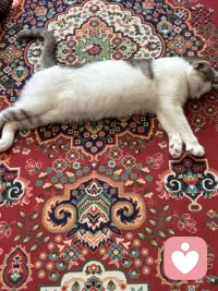 人一定要停止对自己的灾难化的想象，说白了就是不要去回应任何你大脑中的担忧的念头，我们总是为不确定性提前担忧一点，小事总往最坏的方向去想，没发生的事就先把自己吓死，还没开始就预设各种失败，越想越焦虑，最后干脆不敢做，别人随口一句话你就能琢磨好几天，脑补出一整套针对自己的戏码，明明当下什么都没有发生，却总是担心未来会出问题，越想越慌根本停不下来，但是这些担忧90%都不会发生，剩下的10%发生的方式跟你想的也完全不同，所以真的不要提前去担忧。解决灾难化思维，解决那些担忧，只有一个念头来了让他来，他说万一失败怎么办？你听见了，但是不要跟他对话，他说别人是不是对你有意见，你知道他来了，但是不要给他画面，他说未来会不会很糟，你允许他存在，但你不跟着他走念头只是念头，不是事实，大脑只是喜欢编故事，但你不用每一部都追着看，你不回应他，他就没有力量，就像没有人接的话慢慢就停了，没有观众的戏自然就落幕了，试着做一个观察者而不是参与者，但那些担忧的念头冒出来的时候，你就看着他就像看云飘过，你只需要轻轻地说一句，你又来了，然后继续做你手头的事情，慢慢的你就会发现那些曾经让你彻夜难眠的东西，根本经不起你不理他，你不给他注意力，他就能还你清静。配图