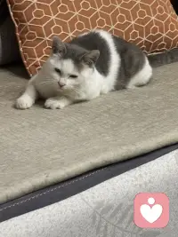 人一定要停止对自己的灾难化的想象，说白了就是不要去回应任何你大脑中的担忧的念头，我们总是为不确定性提前担忧一点，小事总往最坏的方向去想，没发生的事就先把自己吓死，还没开始就预设各种失败，越想越焦虑，最后干脆不敢做，别人随口一句话你就能琢磨好几天，脑补出一整套针对自己的戏码，明明当下什么都没有发生，却总是担心未来会出问题，越想越慌根本停不下来，但是这些担忧90%都不会发生，剩下的10%发生的方式跟你想的也完全不同，所以真的不要提前去担忧。解决灾难化思维，解决那些担忧，只有一个念头来了让他来，他说万一失败怎么办？你听见了，但是不要跟他对话，他说别人是不是对你有意见，你知道他来了，但是不要给他画面，他说未来会不会很糟，你允许他存在，但你不跟着他走念头只是念头，不是事实，大脑只是喜欢编故事，但你不用每一部都追着看，你不回应他，他就没有力量，就像没有人接的话慢慢就停了，没有观众的戏自然就落幕了，试着做一个观察者而不是参与者，但那些担忧的念头冒出来的时候，你就看着他就像看云飘过，你只需要轻轻地说一句，你又来了，然后继续做你手头的事情，慢慢的你就会发现那些曾经让你彻夜难眠的东西，根本经不起你不理他，你不给他注意力，他就能还你清静。配图